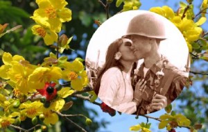 xu25c325a2nv25c325a0ng25c625b025e125bb259dil25c325adnhvi25e125bb2587tnamc25e125bb2599ngh25c325b2atrongnh25e125ba25a1cvi25e125bb2587t