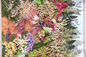 Dried Flower by Phan Vi Tu