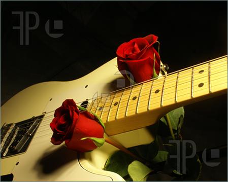 White-Guitar-Red-Roses-507597
