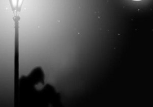 20110812-113204-2-CoDon