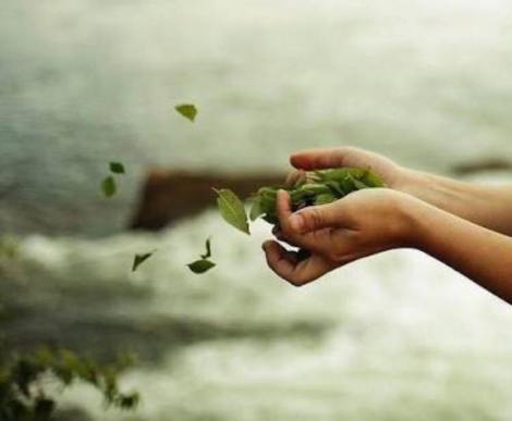 40813263_10211077850817097_2059927372416679936_n